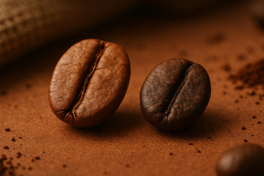 Arabica vs. Robusta: Bohnen im Vergleich
