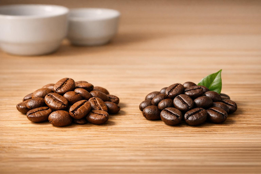 Arabica vs. Robusta 2026: Warum Robusta wieder ernst genommen wird