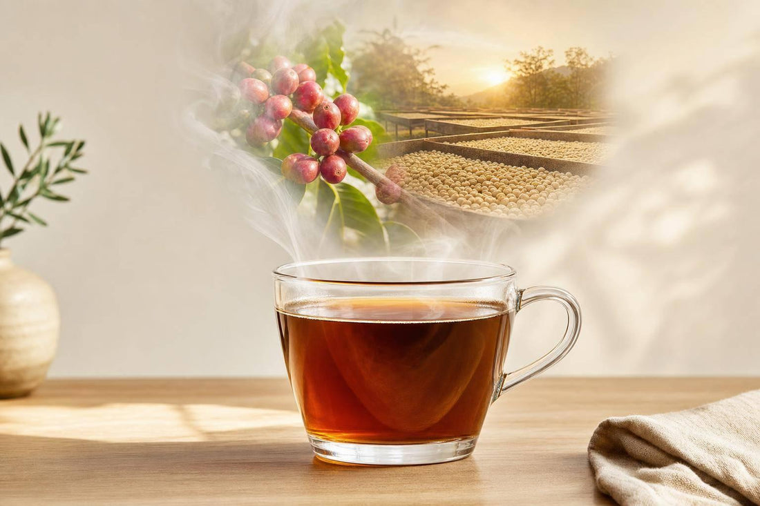 Warum saisonale Kaffees so besonders sind